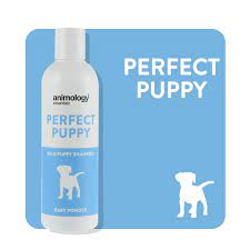 Animology essentials dog shampoo